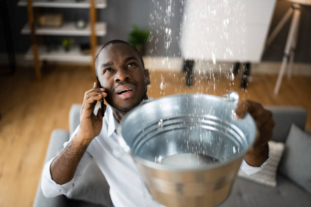 Best Water damage restoration services  in Rainier, WA