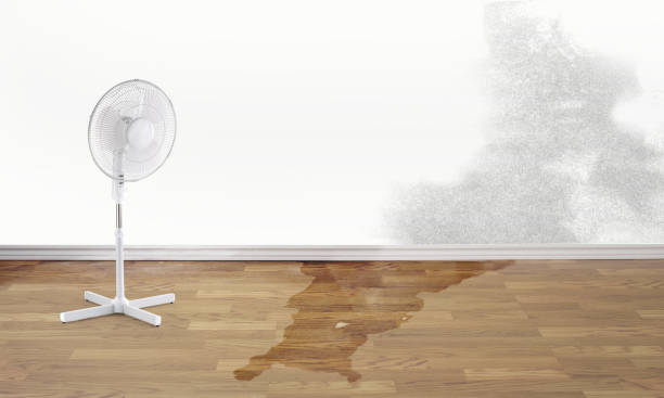 Best 24-hour water damage restoration  in Rainier, WA