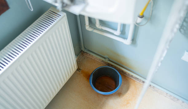 Best Mold removal after water damage  in Rainier, WA
